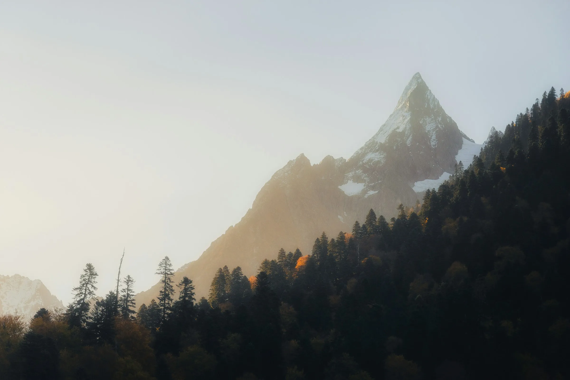 A snow-capped peak catching the first warm light of sunrise above an evergreen ridge.